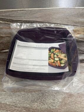 NEW Epicure Square Steamer